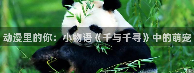 排球少年漫画下拉免费漫画动漫屋