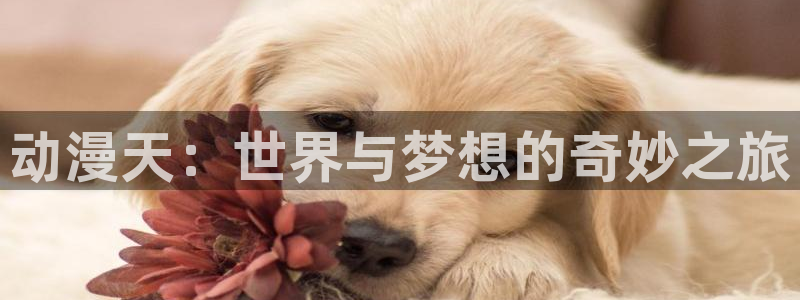 动漫屋下载最新版本