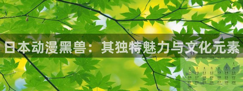 动漫屋网